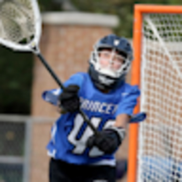 Meet your Posher, Gigi - Picture 1 of 1